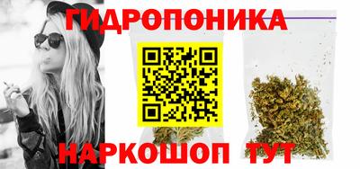 прущие крисы Усть-Джегута