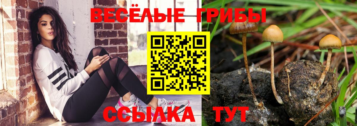Назарово  Галлюциногенные грибы Magic Shrooms  Псилоцибиновые грибы Cubensis  Вход с VPN 