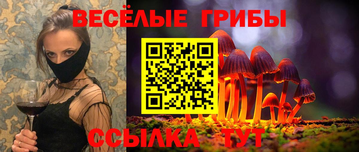 Галлюциногенные грибы GOLDEN TEACHER Назарово